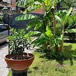 Il Giardino Di Giulia 2