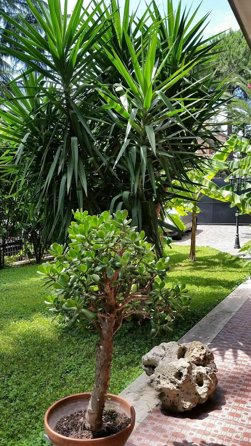 Hotel Il Giardino Di Giulia 2