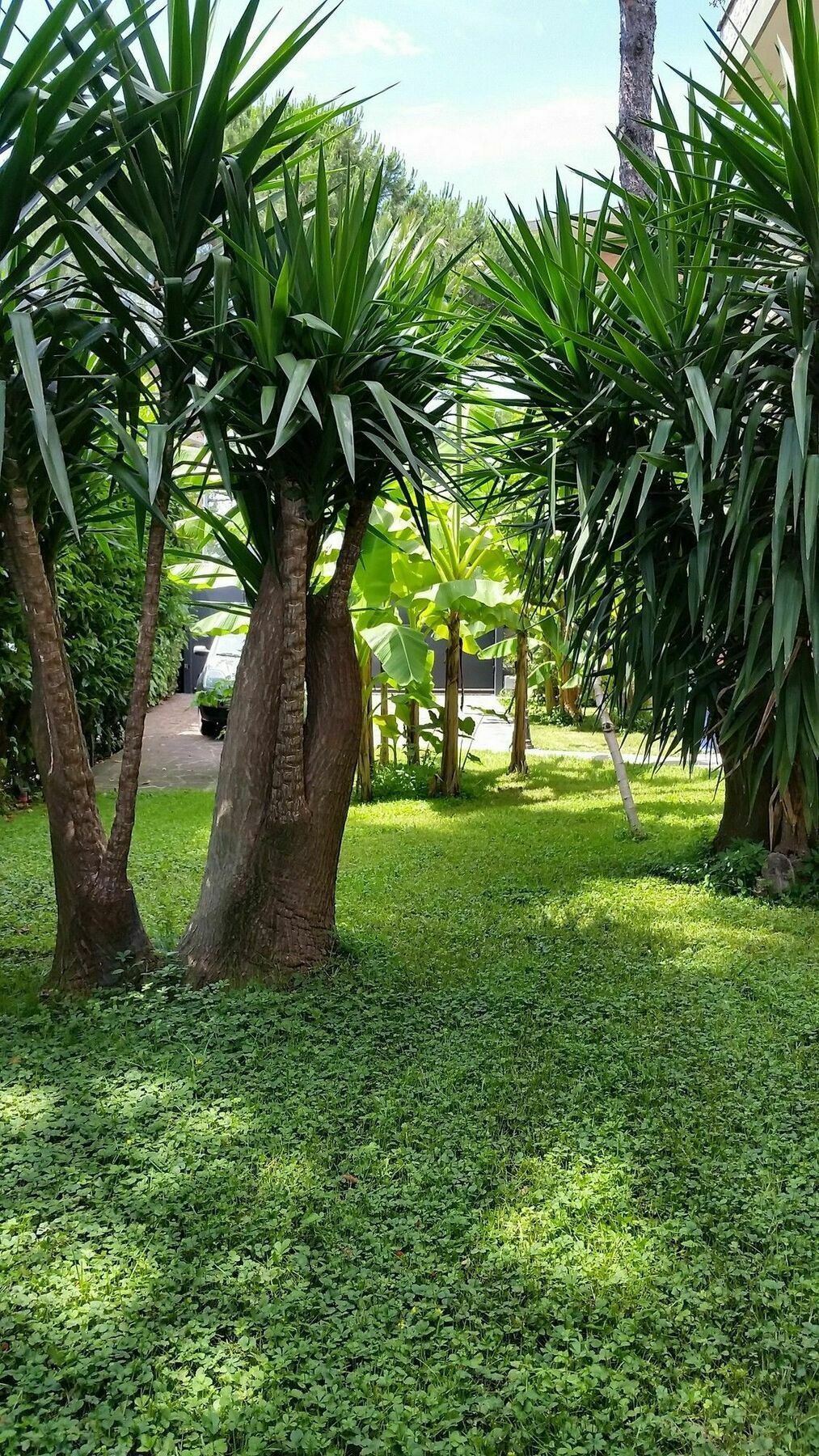 Il Giardino Di Giulia 2 Hotel