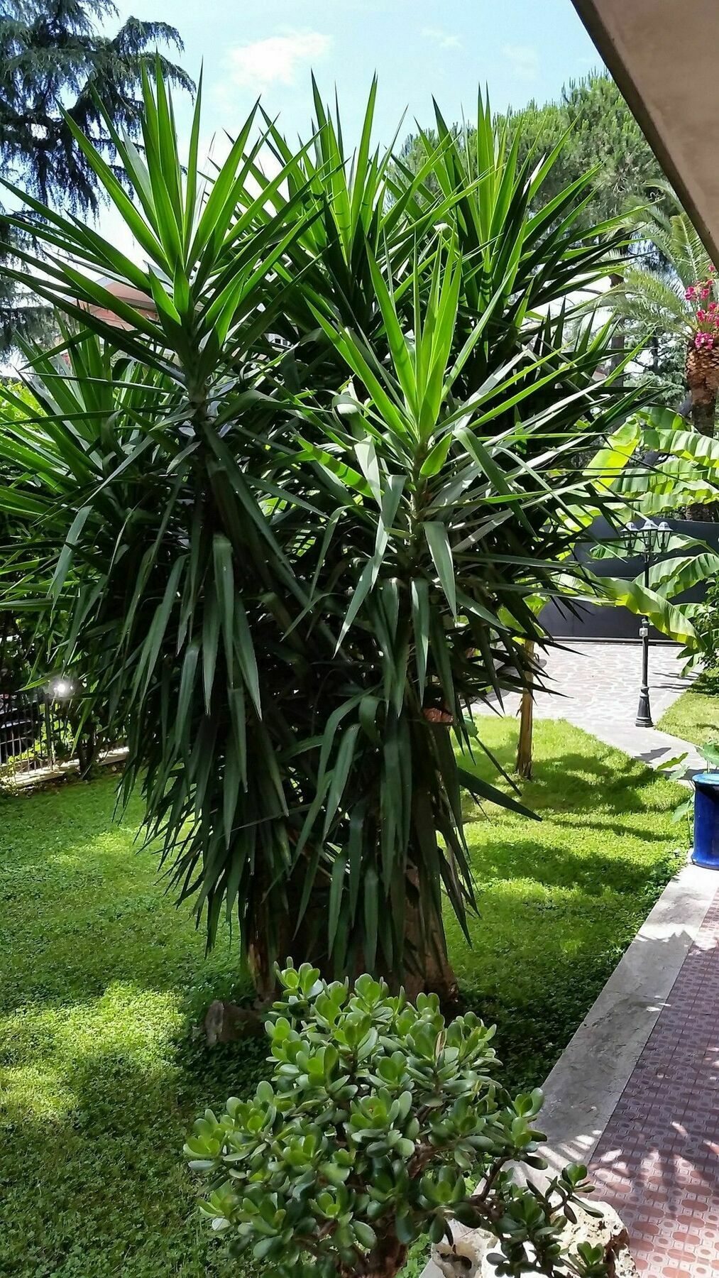 Il Giardino Di Giulia 2 3* Roma