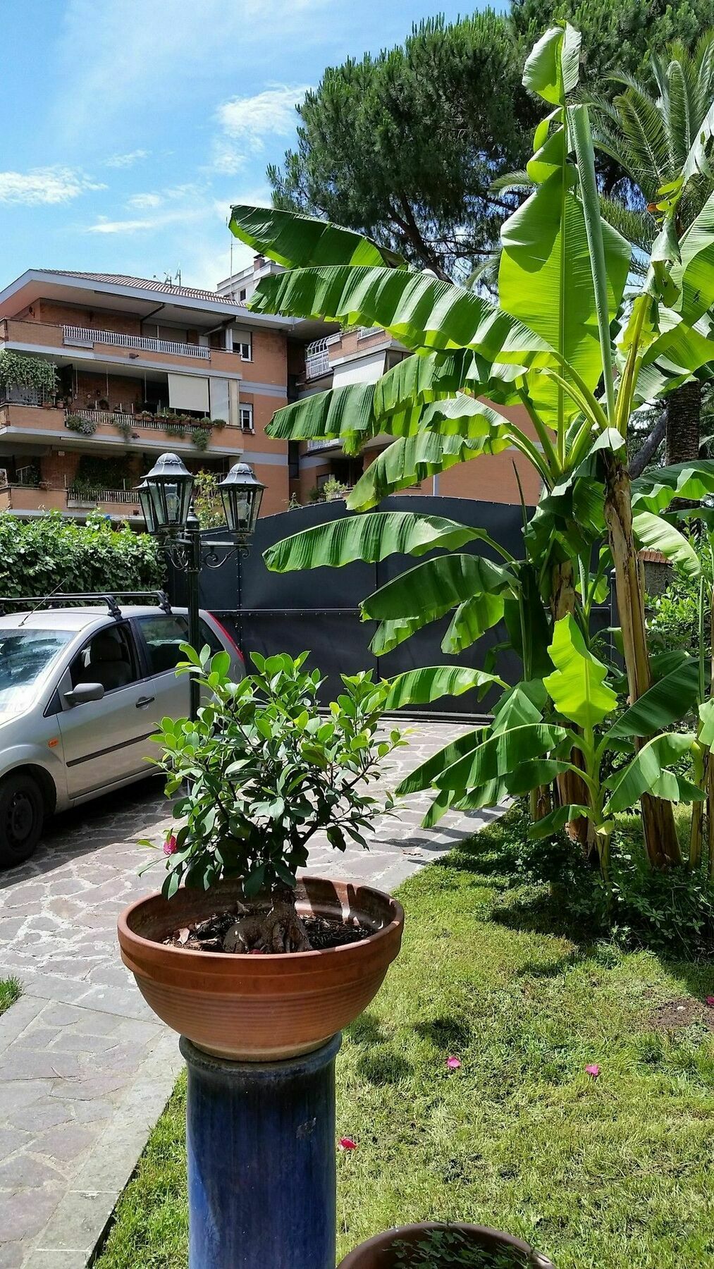 Il Giardino Di Giulia 2