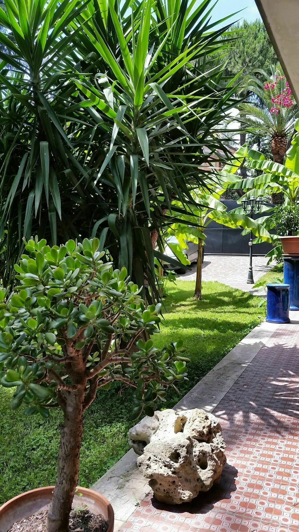 Hotel Il Giardino Di Giulia 2 Roma