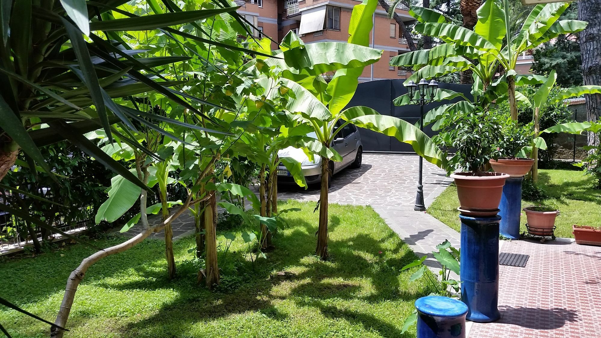 Il Giardino Di Giulia 2