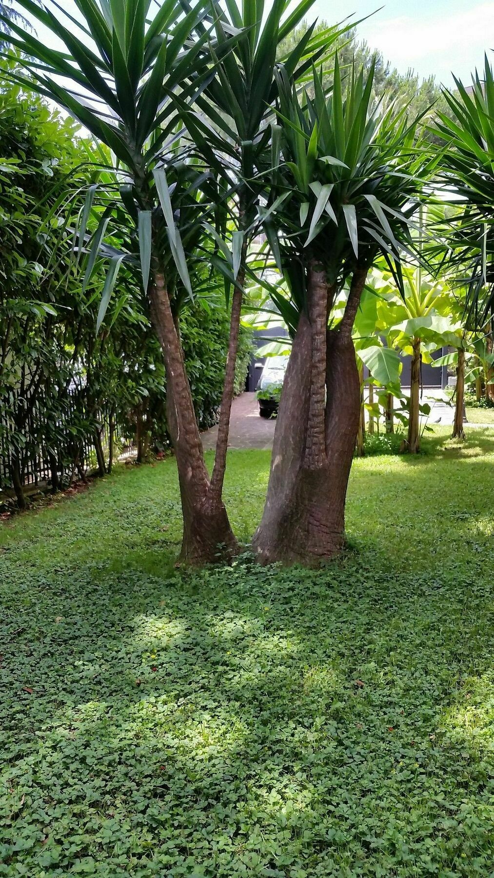 Il Giardino Di Giulia 2 3* Roma
