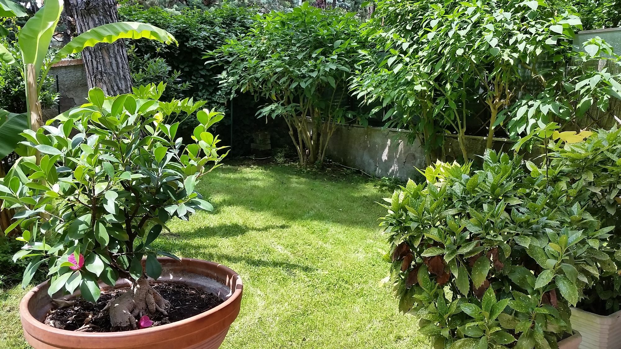 Il Giardino Di Giulia 2